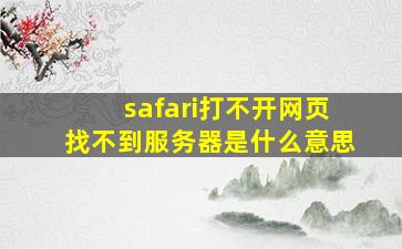 safari打不开网页找不到服务器是什么意思