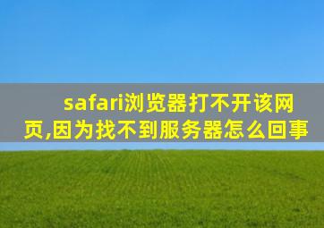 safari浏览器打不开该网页,因为找不到服务器怎么回事