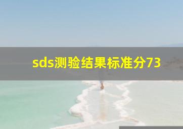 sds测验结果标准分73