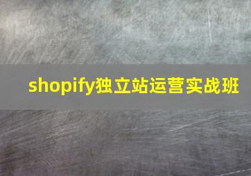 shopify独立站运营实战班