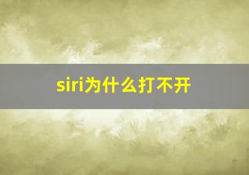 siri为什么打不开