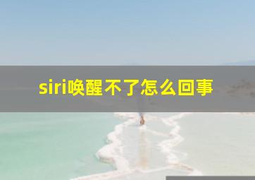 siri唤醒不了怎么回事