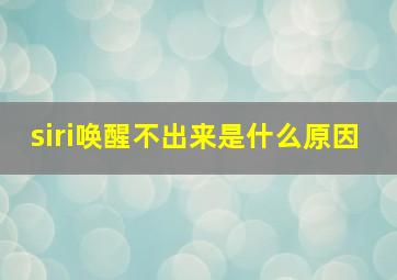 siri唤醒不出来是什么原因