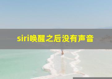 siri唤醒之后没有声音