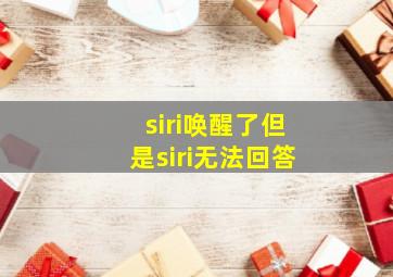 siri唤醒了但是siri无法回答