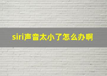 siri声音太小了怎么办啊