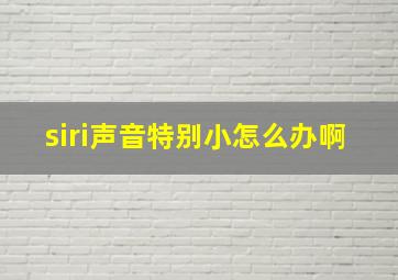 siri声音特别小怎么办啊