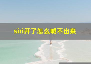 siri开了怎么喊不出来