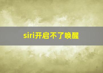 siri开启不了唤醒