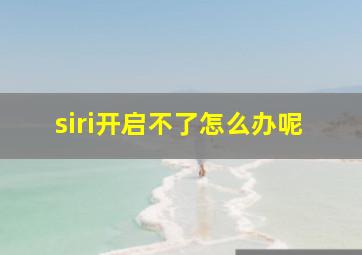 siri开启不了怎么办呢