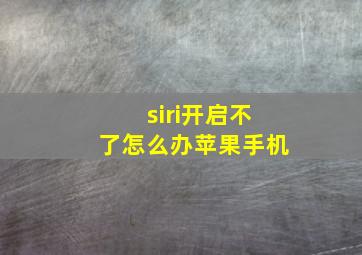 siri开启不了怎么办苹果手机