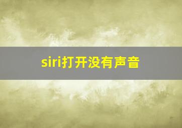 siri打开没有声音