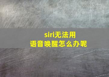 siri无法用语音唤醒怎么办呢