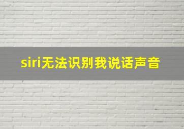 siri无法识别我说话声音