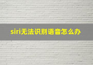 siri无法识别语音怎么办