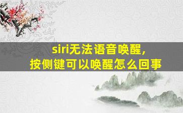 siri无法语音唤醒,按侧键可以唤醒怎么回事