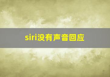 siri没有声音回应