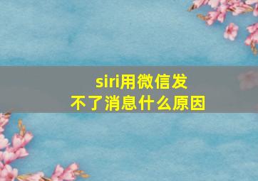 siri用微信发不了消息什么原因