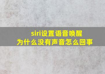 siri设置语音唤醒为什么没有声音怎么回事