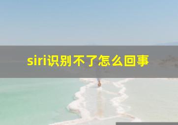 siri识别不了怎么回事