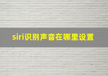 siri识别声音在哪里设置