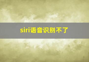 siri语音识别不了