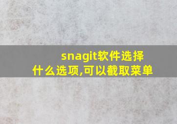 snagit软件选择什么选项,可以截取菜单