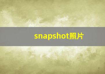 snapshot照片