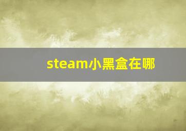 steam小黑盒在哪