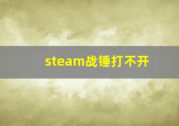 steam战锤打不开