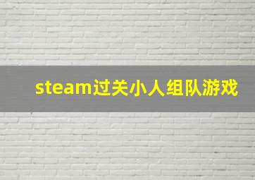 steam过关小人组队游戏