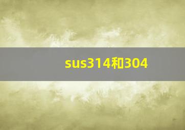 sus314和304