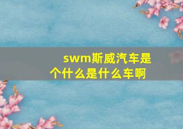 swm斯威汽车是个什么是什么车啊