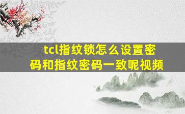 tcl指纹锁怎么设置密码和指纹密码一致呢视频