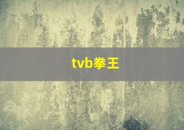 tvb拳王