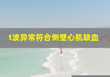 t波异常符合侧壁心肌缺血