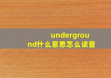 underground什么意思怎么读音