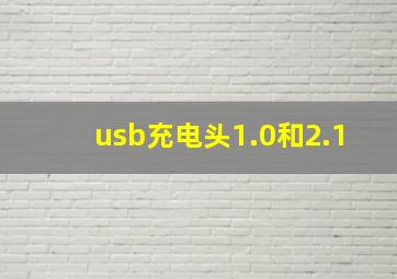 usb充电头1.0和2.1