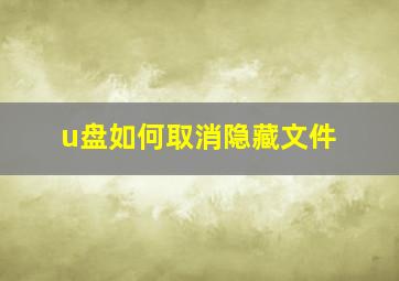 u盘如何取消隐藏文件