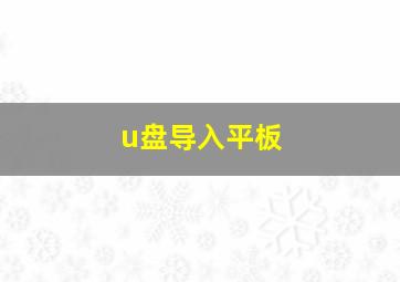 u盘导入平板