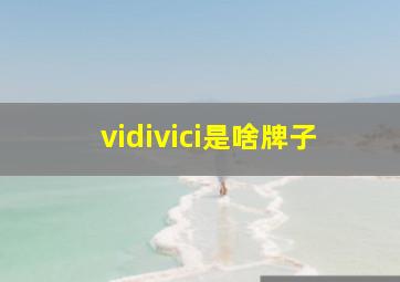 vidivici是啥牌子