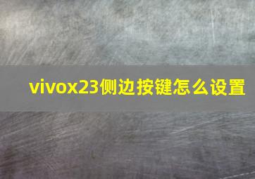 vivox23侧边按键怎么设置