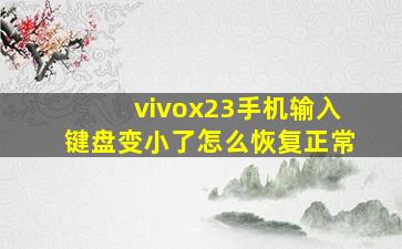 vivox23手机输入键盘变小了怎么恢复正常