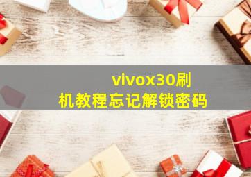 vivox30刷机教程忘记解锁密码