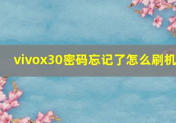 vivox30密码忘记了怎么刷机