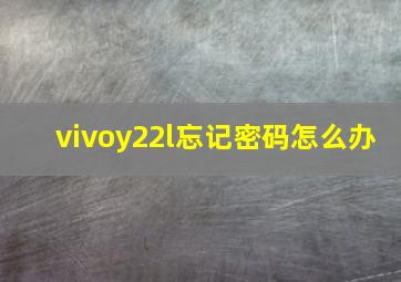 vivoy22l忘记密码怎么办