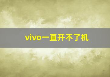 vivo一直开不了机