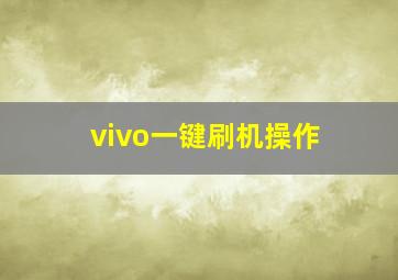 vivo一键刷机操作