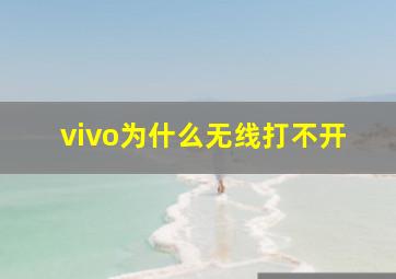 vivo为什么无线打不开