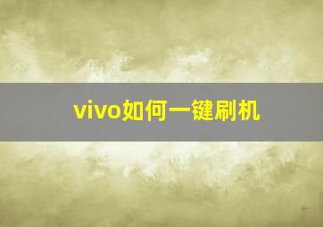 vivo如何一键刷机